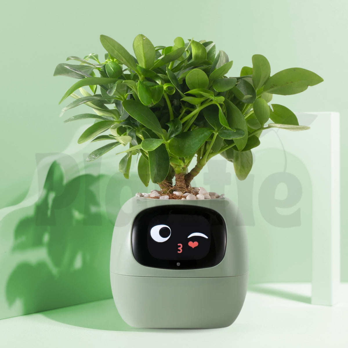 Plantie Smart Pot 🪴