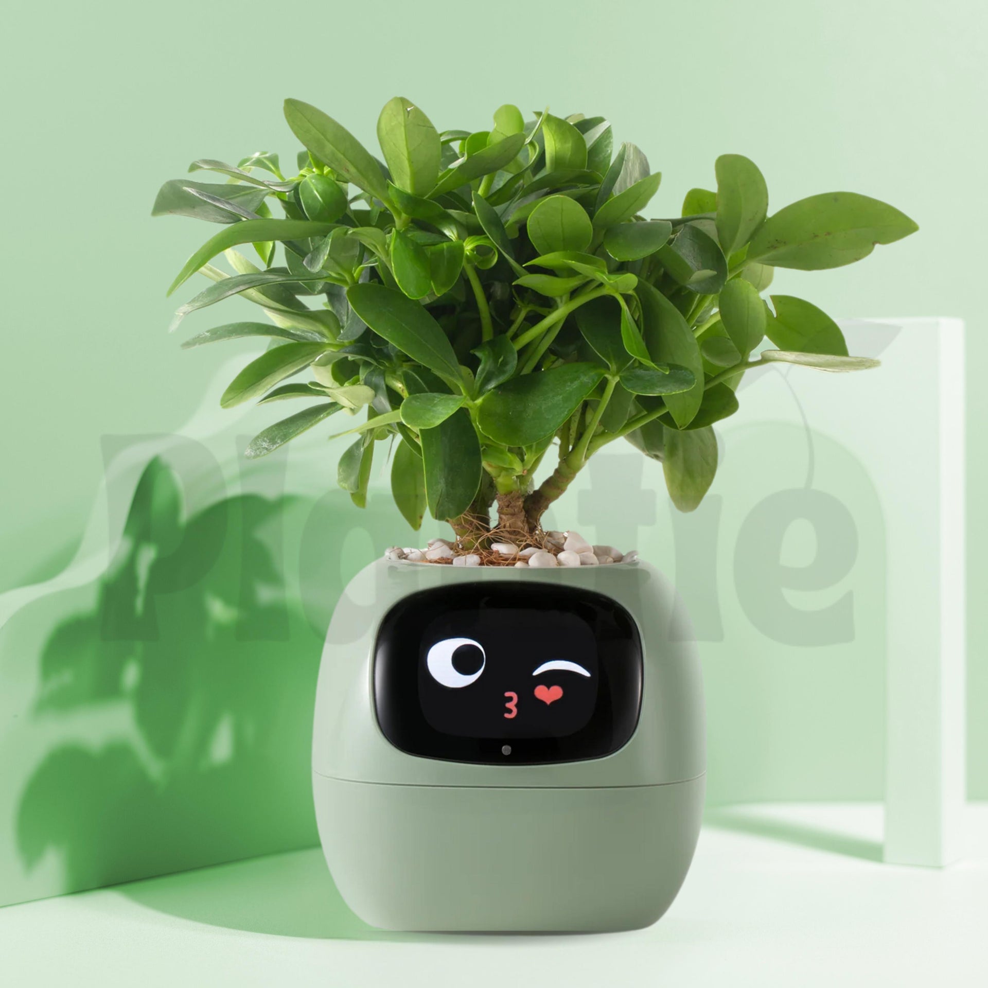 Plantie Smart Pot 🪴