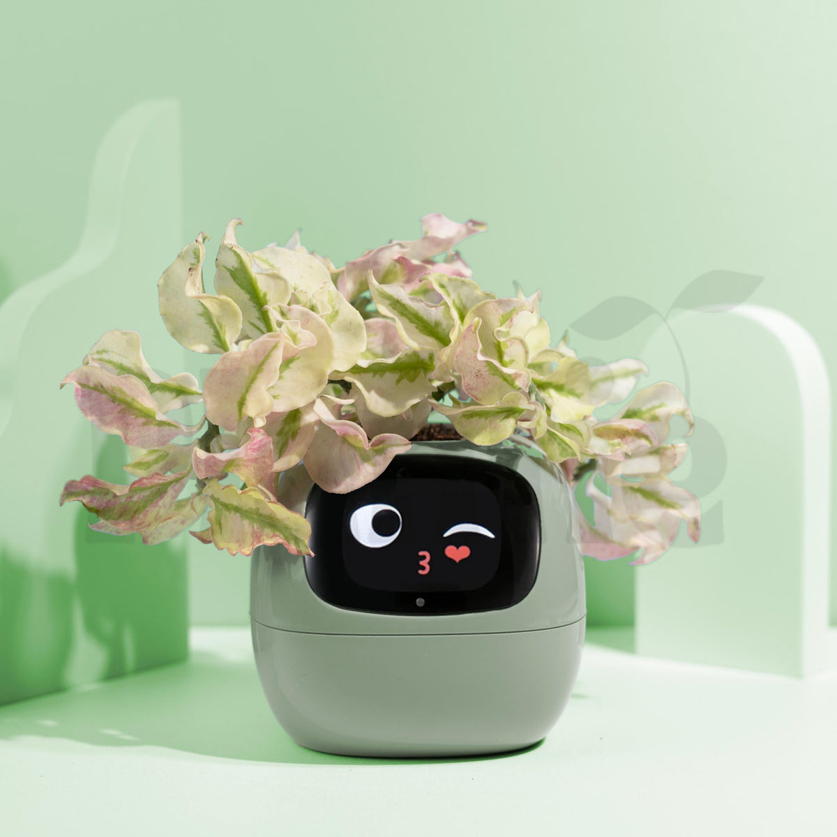 Smart Pot Design Plantie Smart Pot 🪴