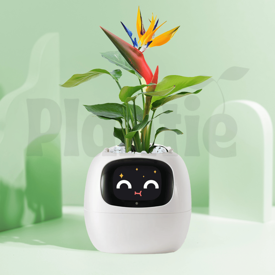 electric plant pot with face Plantie Smart Pot 🪴