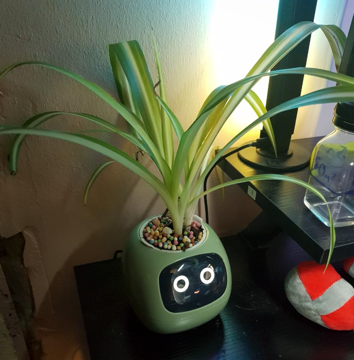 electric pot plant Plantie Smart Pot 🪴