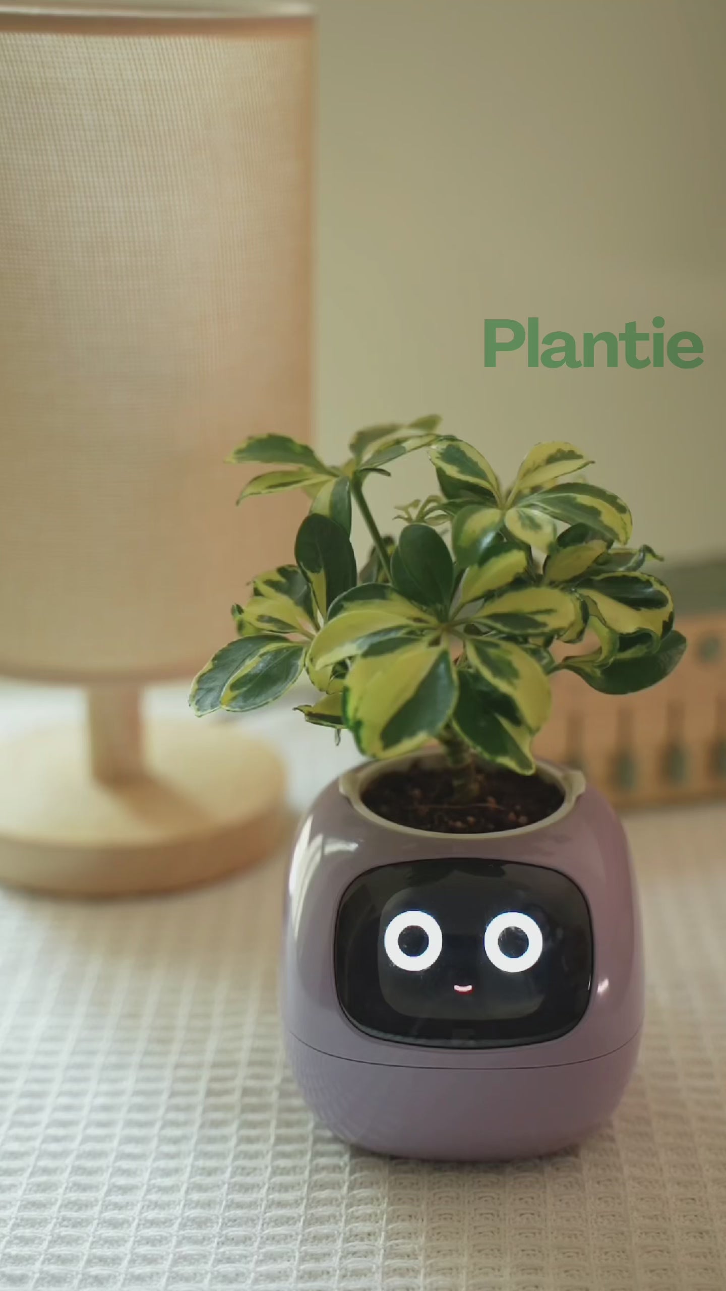 Load video: Plantie Smart Pot