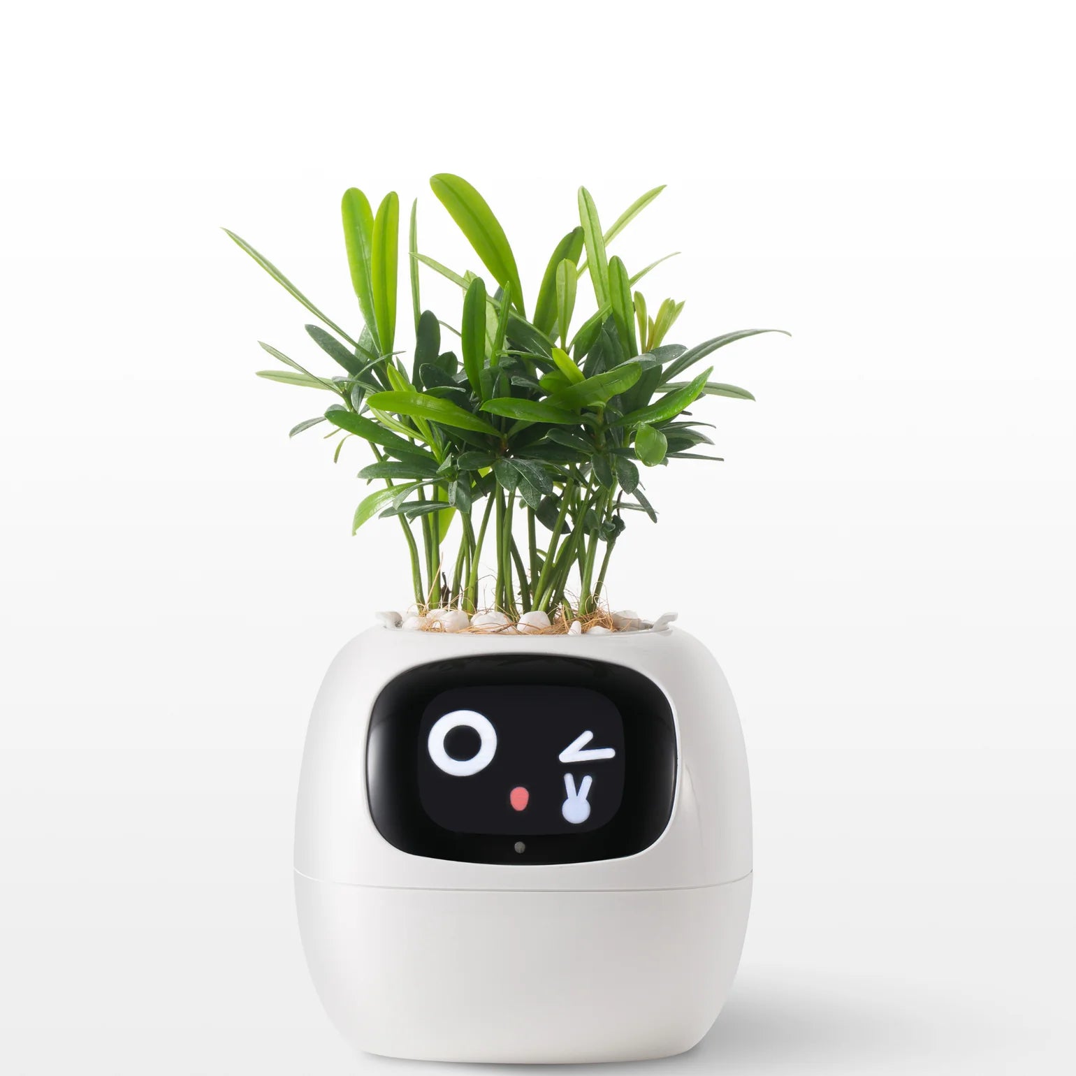 Plantie Smart Pot